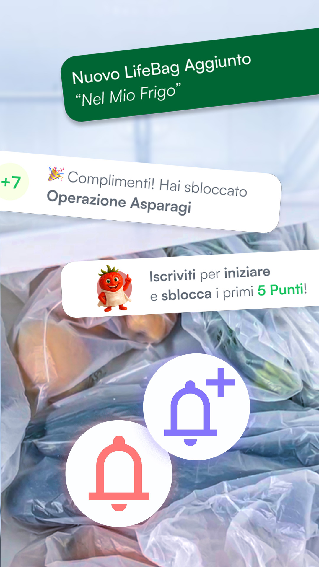 tutorial_3_lifebag